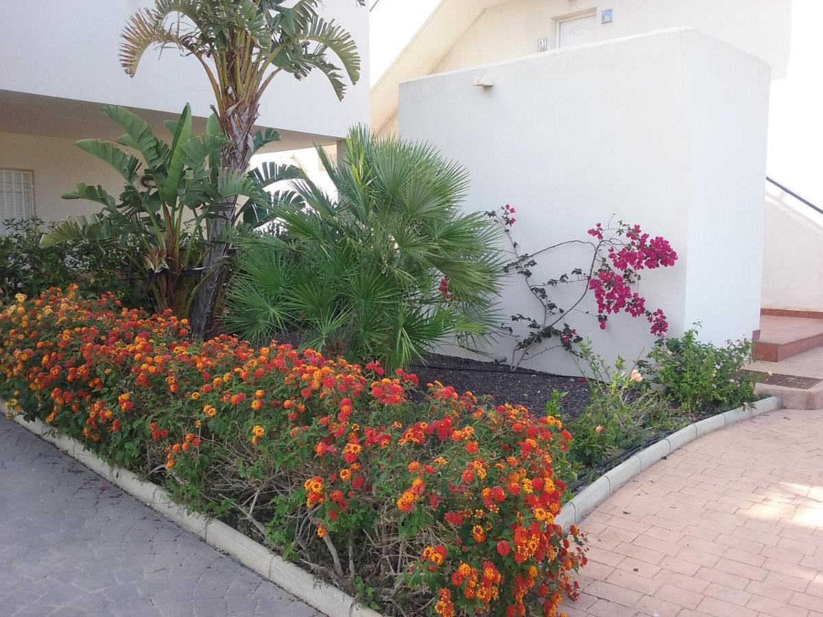 Apartamento Junto Al Mar En La Costa De Almeria El Pozo del Esparto Eksteriør billede